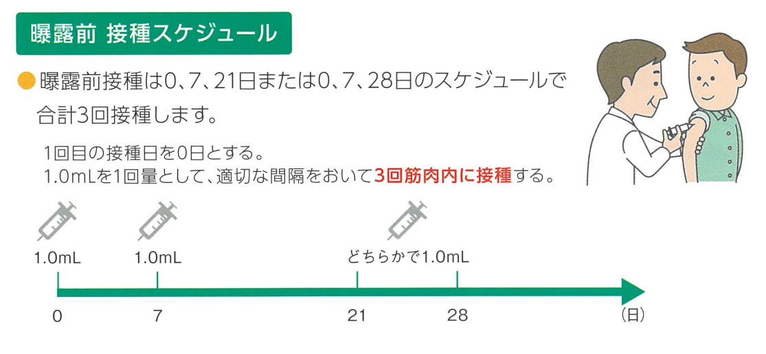 渡航前の狂犬病ワクチン(ラビピュール筋注用)の接種スケジュール図(合計3回:0日、7日、21日または28日)